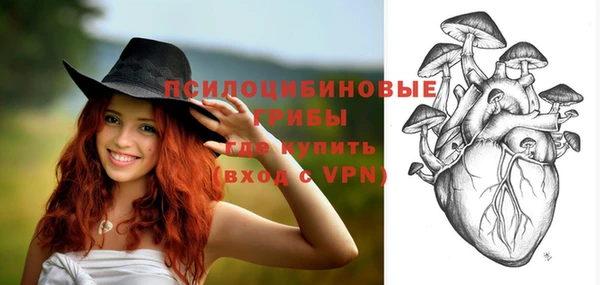 спиды Абинск