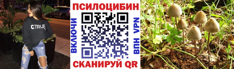 даркнет состав  Адыгейск  Галлюциногенные грибы прущие грибы  mega рабочий сайт 